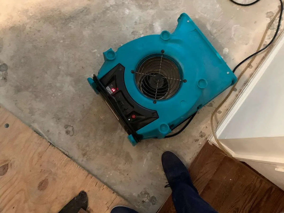Air mover drying subfloor during Leak Detection & Repair in Albany